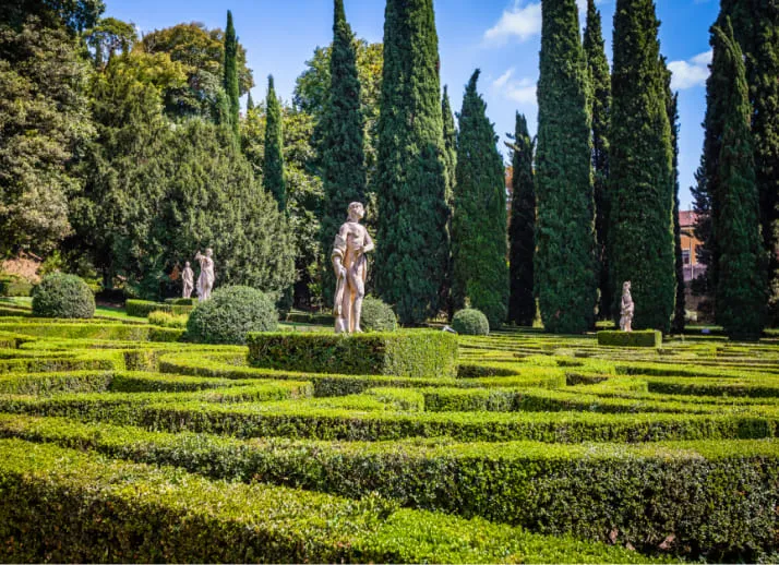 piazza  delle erbe image